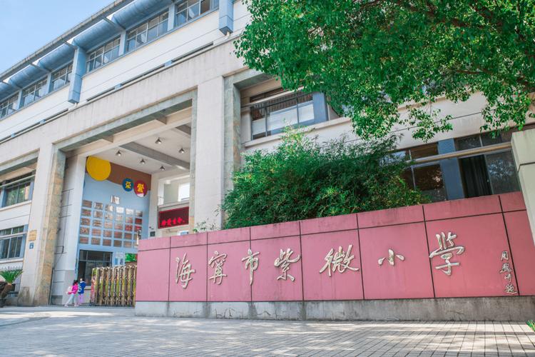 新优质学校⑧丨海宁市紫微小学幸福教育促进儿童健康成长