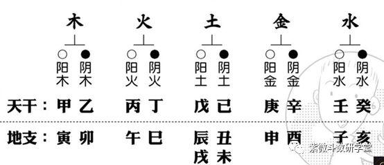 紫微斗数基础2天干地支