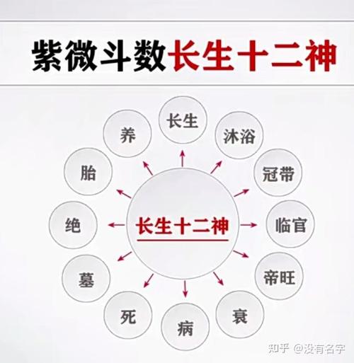 紫微斗数基础【高道原】