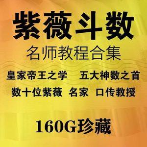 紫微紫薇斗数视频教程 王亭之令东来魏宏卿陈龙羽梁若瑜许铨仁