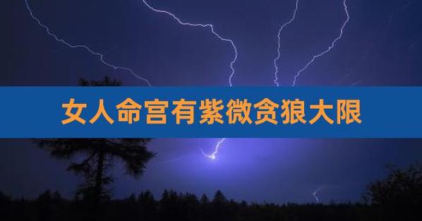 q1:请问命宫主星:紫微贪狼 是什么意思?