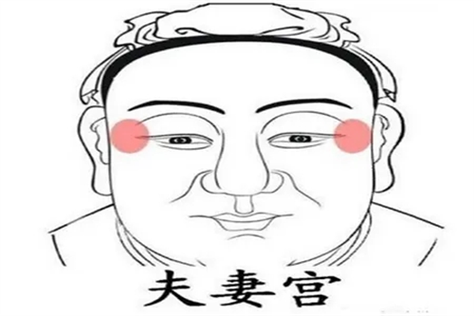 夫妻宫紫薇天相是什么意思 夫妻宫变动是什么意思-善吉算命网