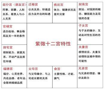 紫微斗数三台性格耿直威仪