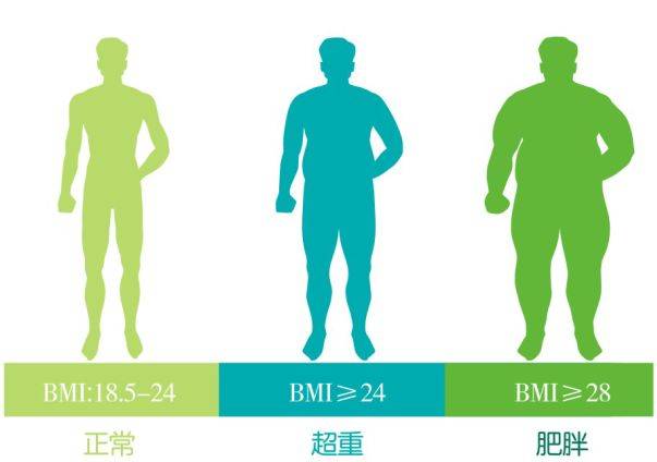 熟知后,越来越多人明白了体重计上的高低不一定意味着视觉上的胖瘦