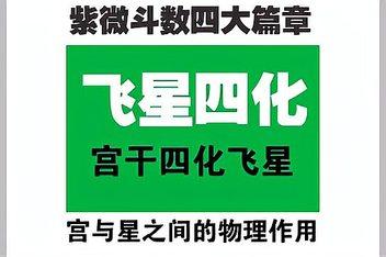 梁若瑜飞星紫微斗数周星飞老师6月10日讲命盘地支与年月日关系_百度