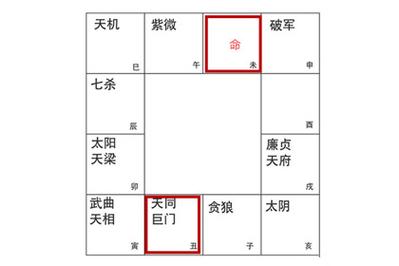 紫微命盘中命宫无主星借对宫天同巨门详解