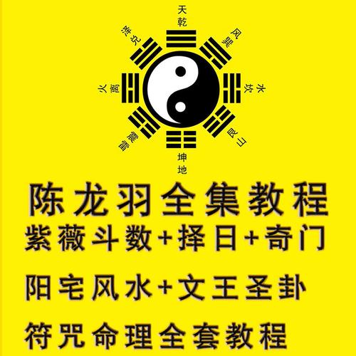 陈龙羽 阳宅风水八字命理紫微斗数择日三元纳气奇门遁甲 教程合集