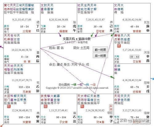 紫微斗数疾厄宫论病症