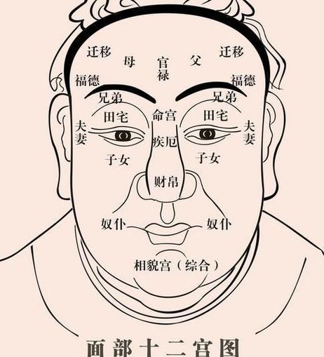 天同天梁面相(天同天梁在田宅宫)