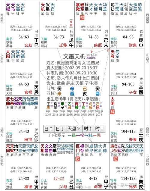 紫微斗数超话  抽奖命盘实战61第31例    癸年·巨门在子    61