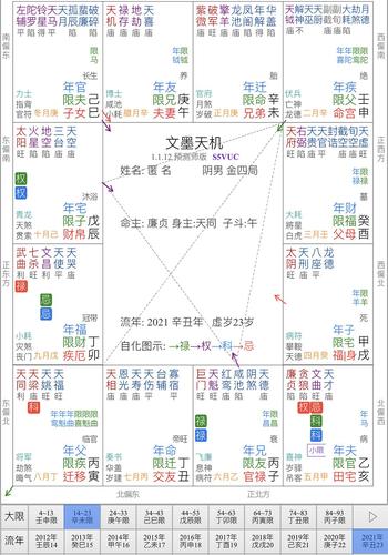 紫微斗数文昌化忌入财帛宫紫微斗数发大财的格局是怎么样的