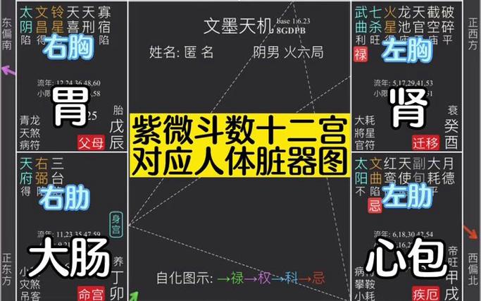 紫微斗数实战学员教学《十二宫对应脏器》