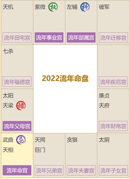 2023年紫微流年命盘