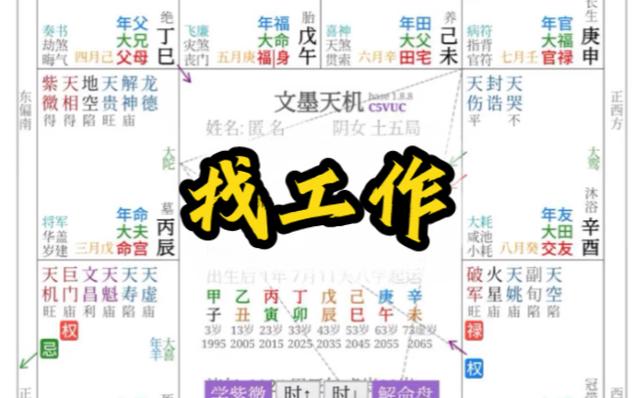 紫微实战:细看找工作,知识分享