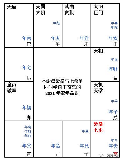 猪猪金水2023紫微斗数年运一