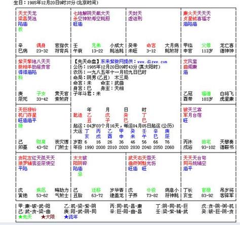 紫微斗数帅哥的命盘特征 最准紫微斗数在线排盘