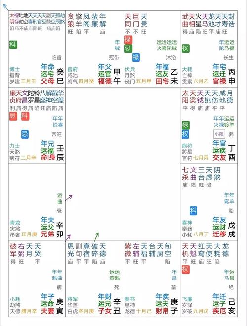 紫微斗数实例解读