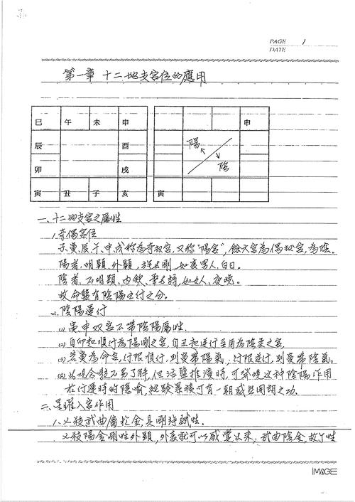 紫云紫微斗数活盘班进阶班授徒讲义笔记手稿