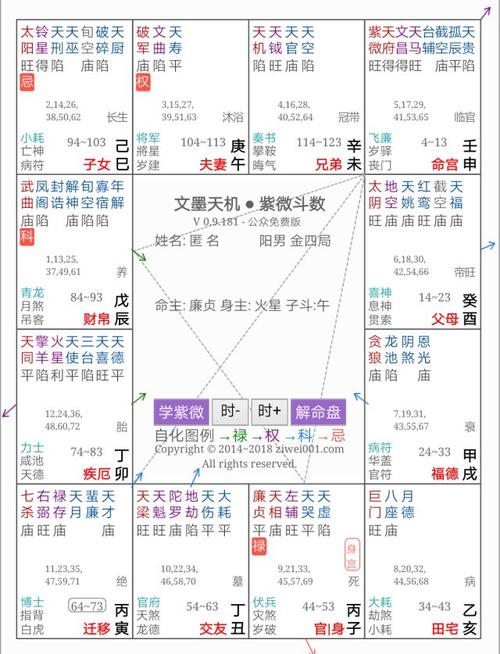 紫微斗数格局略谈:紫府同宫格到底是不是富贵命?--寅午文化