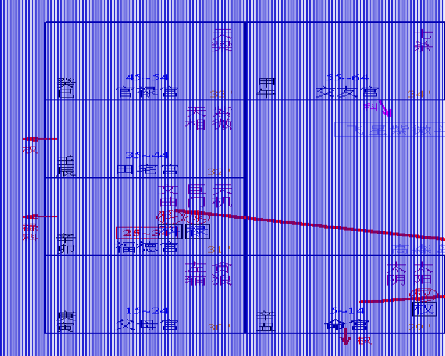 紫微白娘子—我的第一本紫微斗数书(史上最好学的紫微斗数书节选)