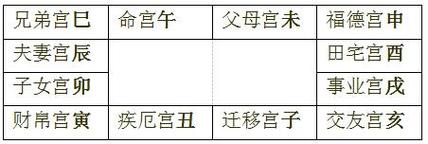 紫微斗数解析说明