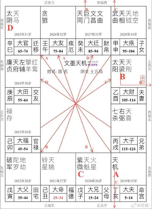 紫微斗数