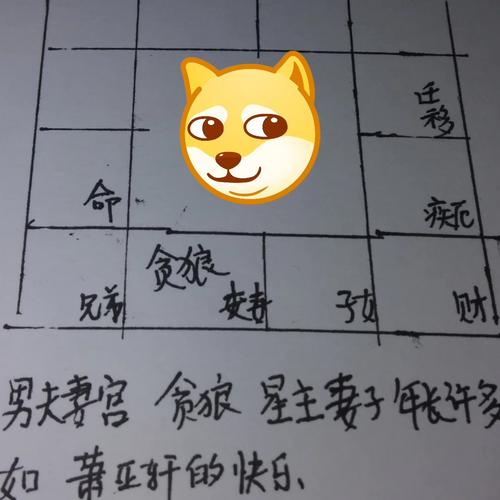 贪狼星在夫妻宫