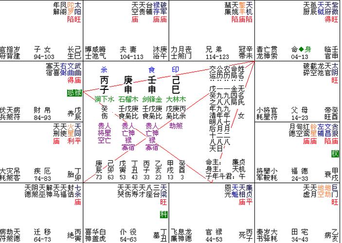 紫微斗数解读