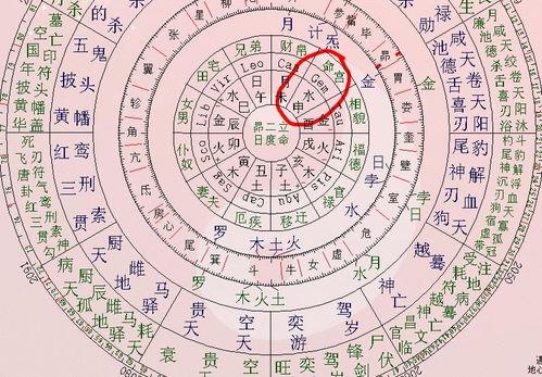 紫微斗数天巫星,紫微斗数天巫星在子女宫