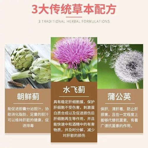 奶蓟草的功效与作用奶蓟草是一种毒素阻滞剂