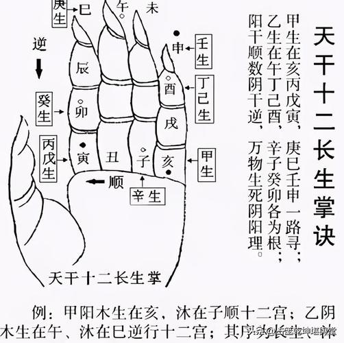 八字死衰是什么意思