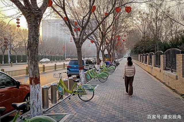 大年初一上午的安阳市紫薇大道街景.(王建安  摄影)