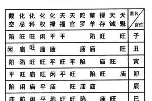 紫微斗数星曜的庙旺利平陷 紫微斗数庙旺平陷的意义及其用法|东来紫微