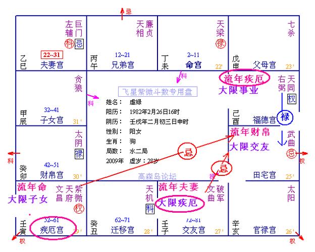 飞星紫微斗数,第五课—第四节:禄 忌(一半好一半坏)