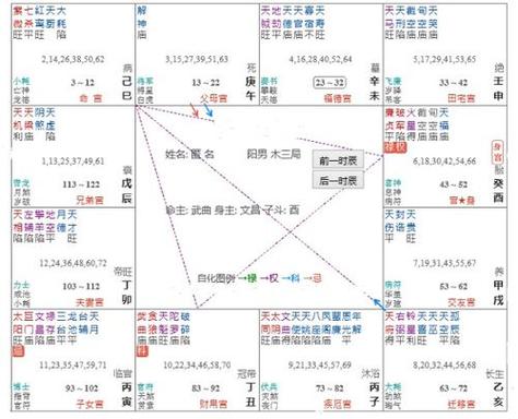 甲年命宫在巳宫紫微星在巳宫同性恋但若逢紫微,相,禄存则可化解,紫微