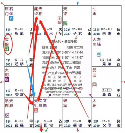 紫微斗数排盘解析贪狼化忌含义解析