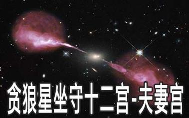 贪狼星坐守十二宫夫妻宫详解