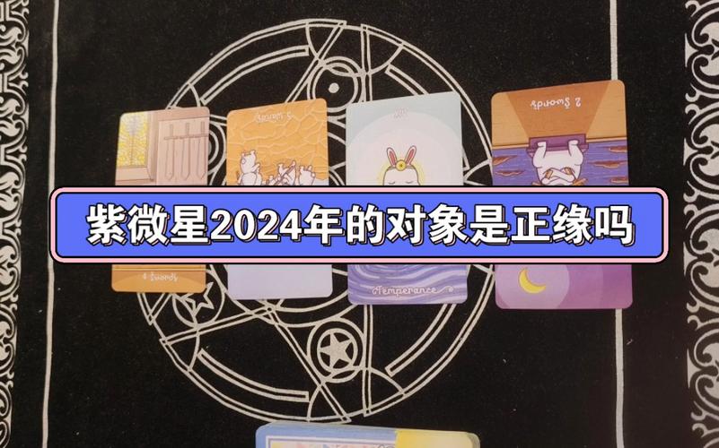 紫微星2024年的对象是正缘吗