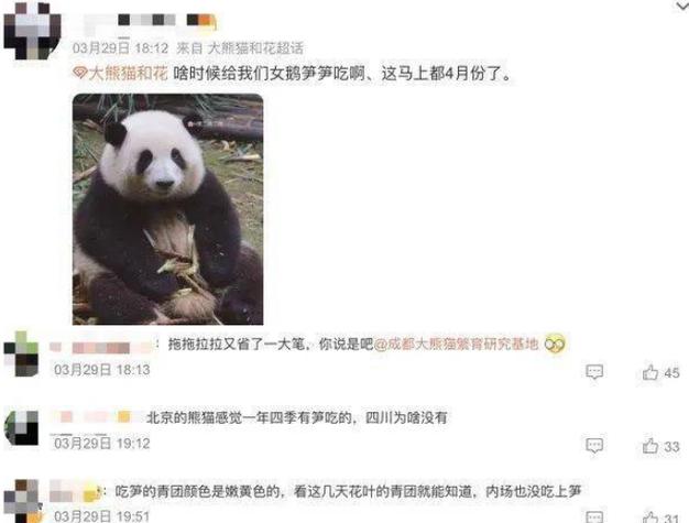 心有余悸奥委会突然发文他们差点毁了全红婵