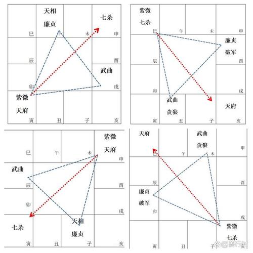 本篇起我们开始介绍紫微斗数的星曜,正如前文所说,这是最重要的基本功