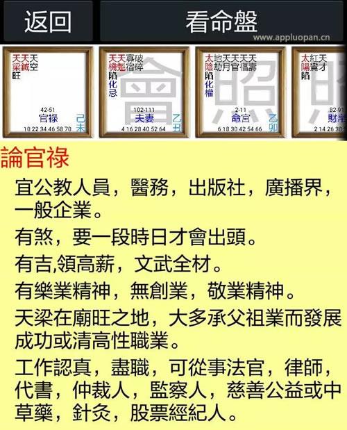 紫微斗数软件命宫解说