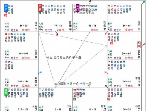 紫微斗数中的