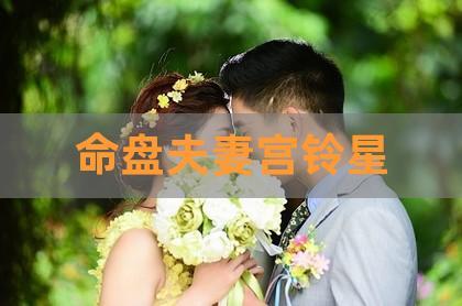 命盘夫妻宫铃星,紫微命盘夫妻宫怎么看