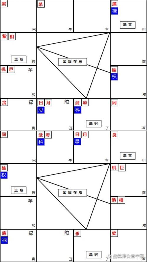 3.如上盘只要紫微在辰,无论本命在什么宫位都算紫微在辰.