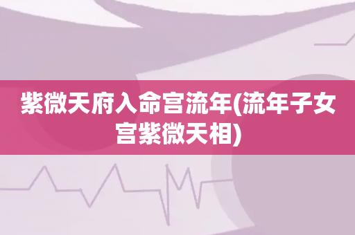 紫微天府入命宫流年(流年子女宫紫微天相)