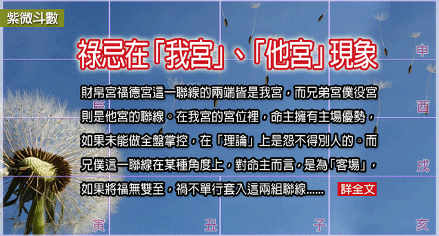 紫微斗数—当禄忌在「我宫」,「他宫」的各种现象