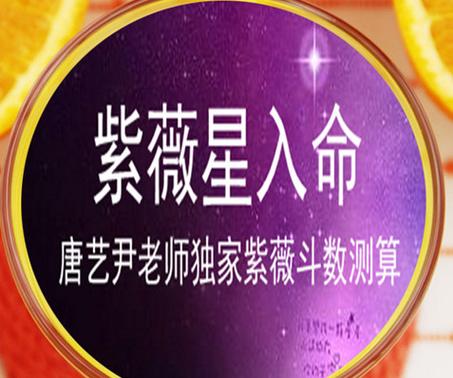 紫薇星入命宫唐艺尹老师独家分析