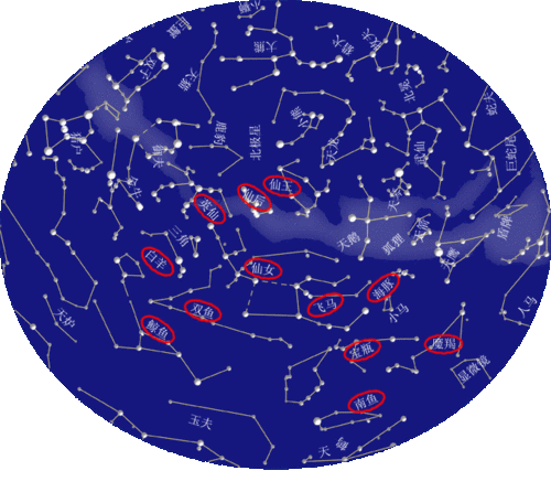 明灯易学:紫微神数算命,太阳星坐守十二宫之子女宫