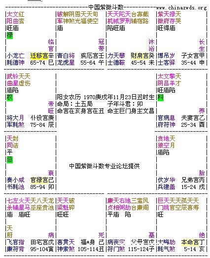 正语派夫妻宫秘技 飞宫技法-紫微府