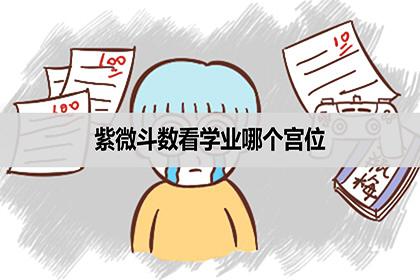 紫微斗数看学业看哪个宫位考运怎么样